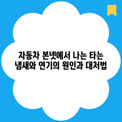 자동차 본넷에서 나는 타는 냄새와 연기의 원인과 대처법