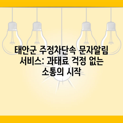 태안군 주정차단속 문자알림 서비스: 과태료 걱정 없는 소통의 시작