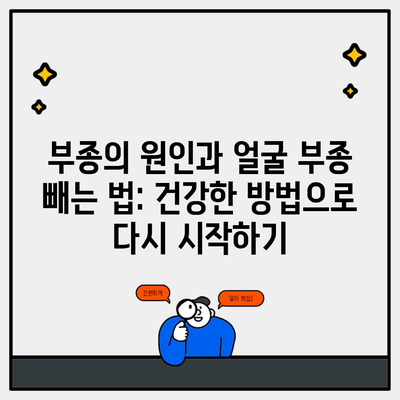 부종의 원인과 얼굴 부종 빼는 법: 건강한 방법으로 다시 시작하기