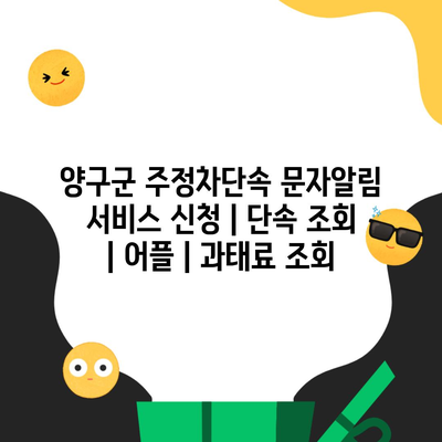 양구군 주정차단속 문자알림 서비스 신청 | 단속 조회 | 어플 | 과태료 조회