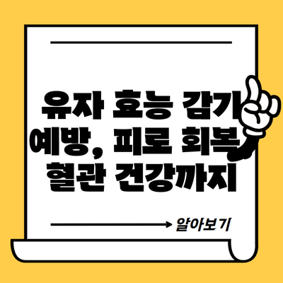 유자 효능 감기 예방, 피로 회복, 혈관 건강까지