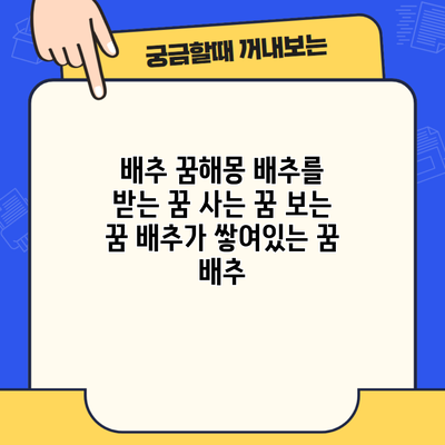 배추 꿈해몽 배추를 받는 꿈 사는 꿈 보는 꿈 배추가 쌓여있는 꿈 배추