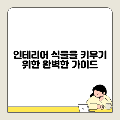 인테리어 식물을 키우기 위한 완벽한 가이드