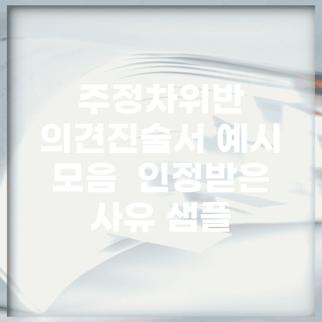 주정차위반 의견진술서 예시 모음 | 인정받은 사유 샘플