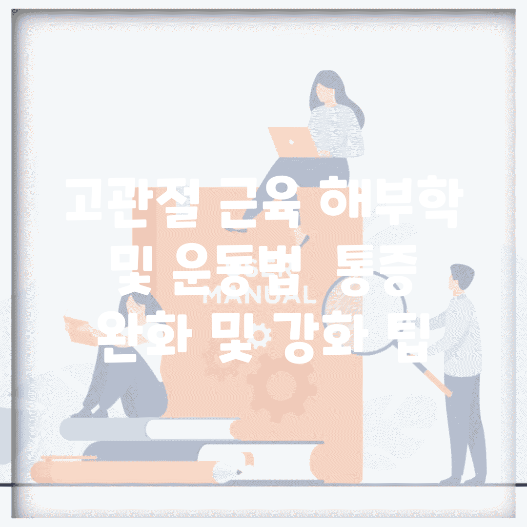 고관절 근육 해부학 및 운동법 | 통증 완화 및 강화 팁