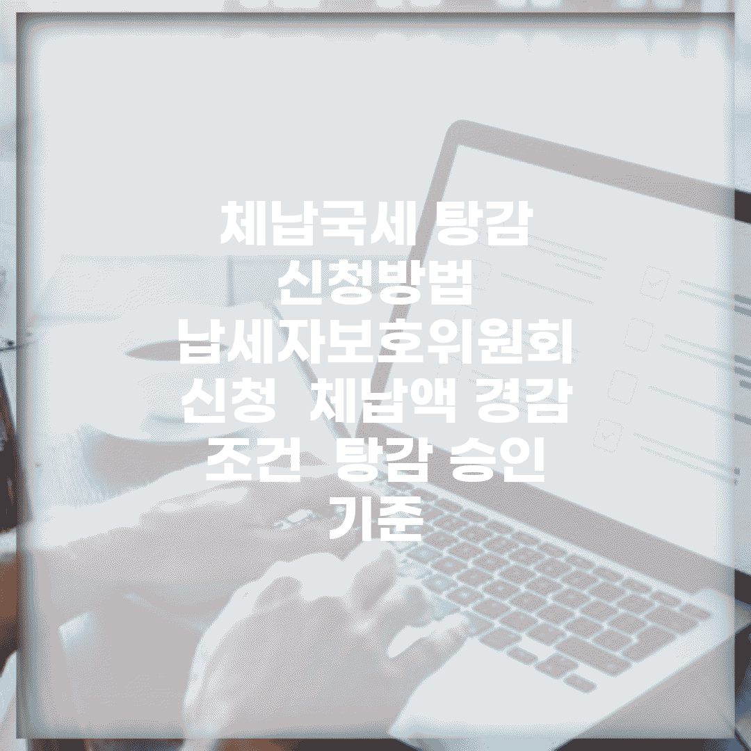 체납국세 탕감 신청방법 | 납세자보호위원회 신청 | 체납액 경감 조건 | 탕감 승인 기준