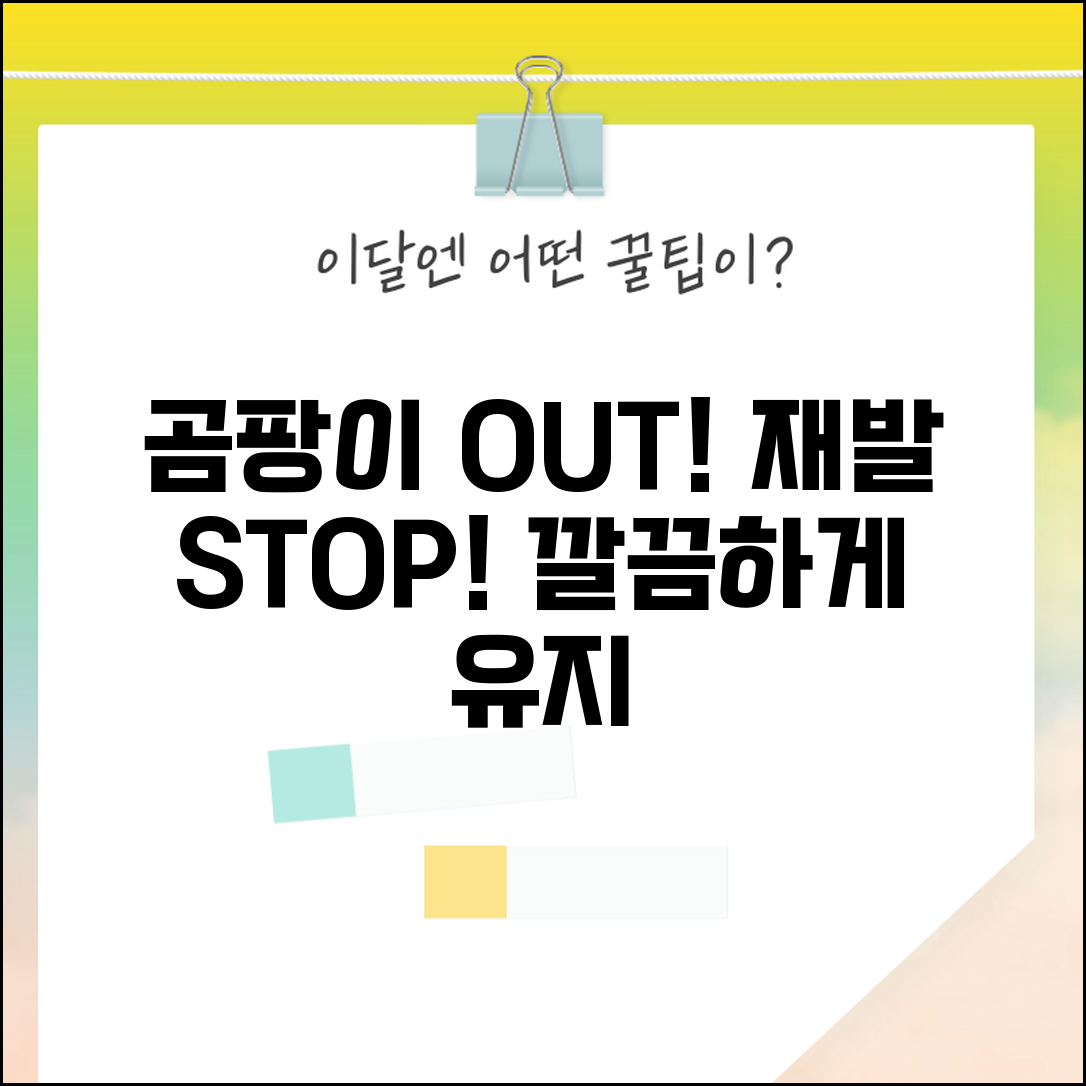 곰팡이 제거 후 관리법 | 곰팡이 재발 방지 | 지속적인 곰팡이 관리 노하우