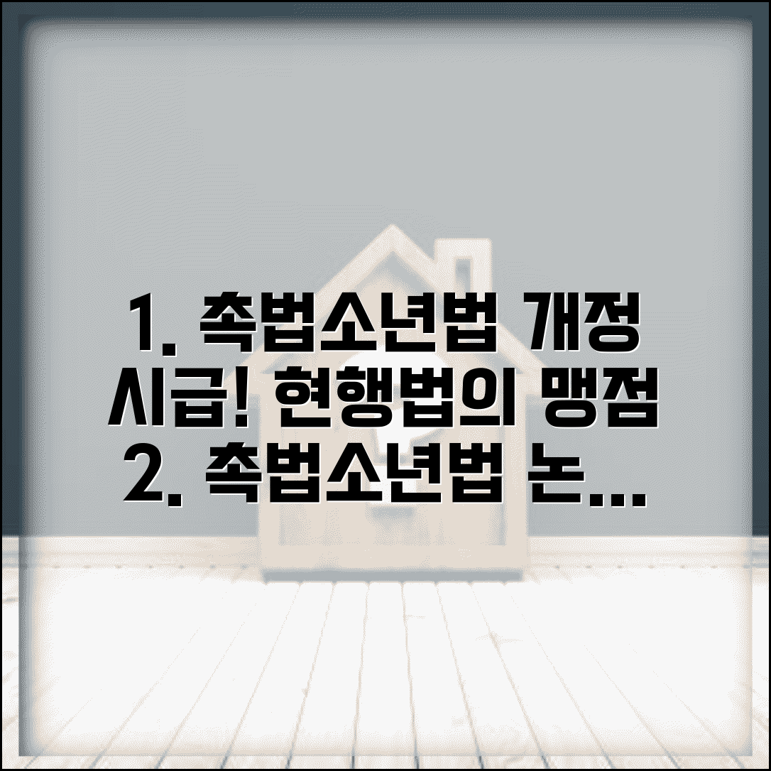 촉법소년법 개정 필요성 논의 | 현행법의 한계점과 개선 방안 전문가 의견