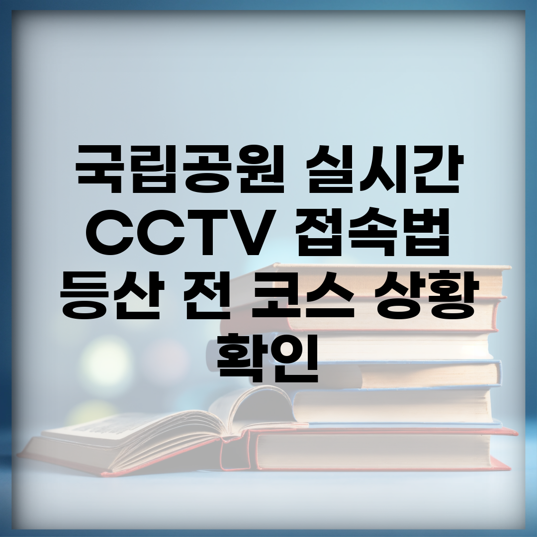국립공원 실시간 CCTV 접속법 | 등산 전 코스 상황 확인