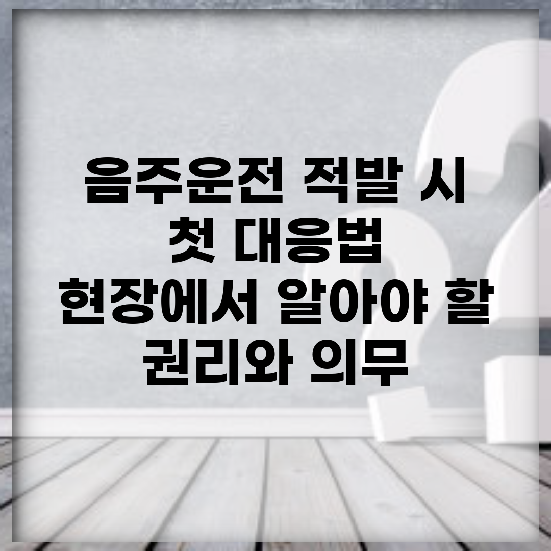 음주운전 적발 시 첫 대응법 | 현장에서 알아야 할 권리와 의무