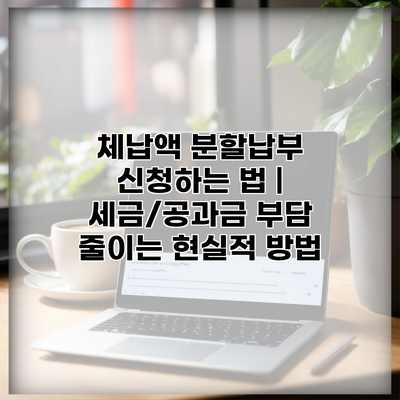 체납액 분할납부 신청하는 법 | 세금/공과금 부담 줄이는 현실적 방법