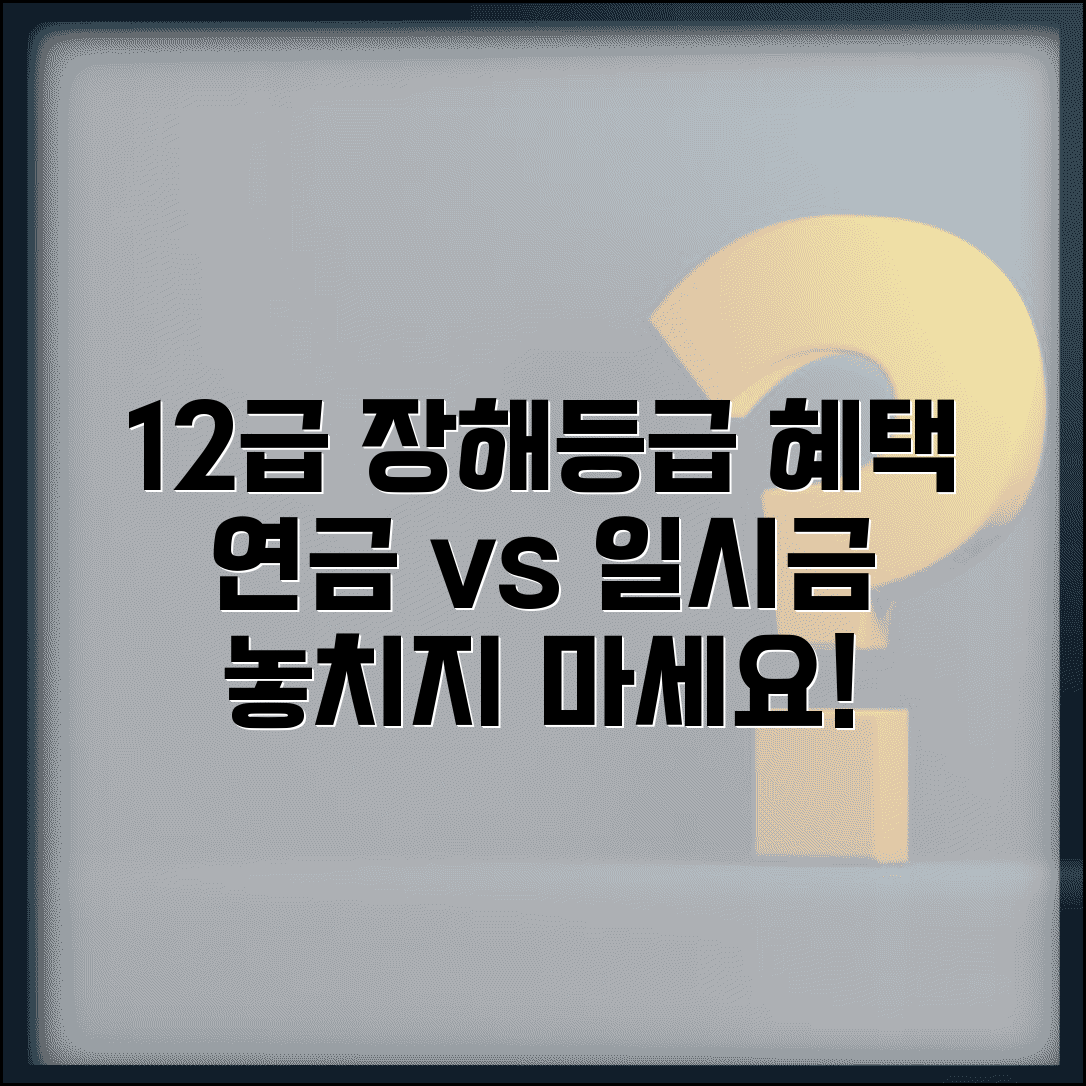 장해등급 12급 혜택 | 12급 장해등급 연금 및 일시금