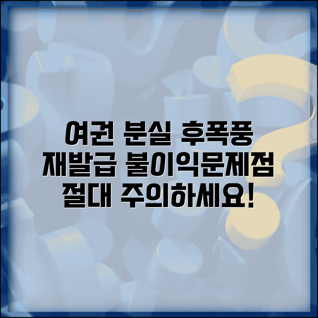 여권 분실 재발급 불이익 사항 | 주의해야 할 법적 문제점