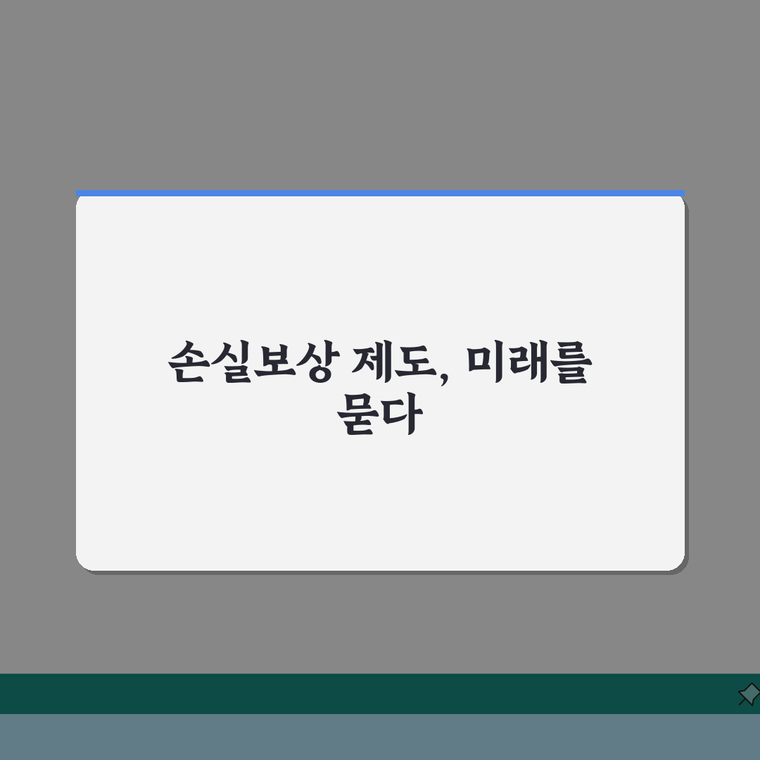 손실공인손실보상 제도 | 손실보상 조건 | 신청 방법 | 보상 범위 | 처리 절차 | 주의