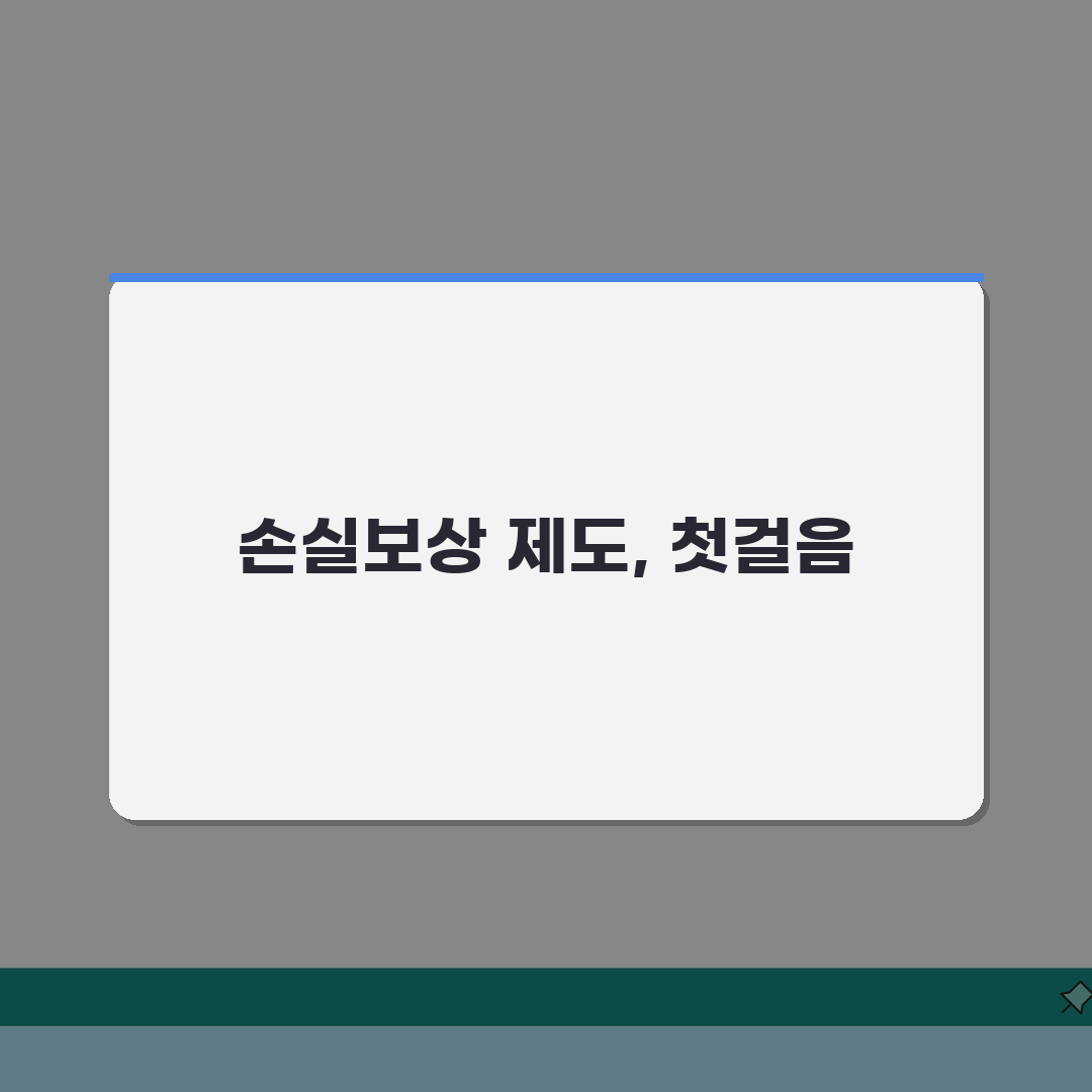손실공인손실보상 제도 | 손실보상 조건 | 신청 방법 | 보상 범위 | 처리 절차 | 주의