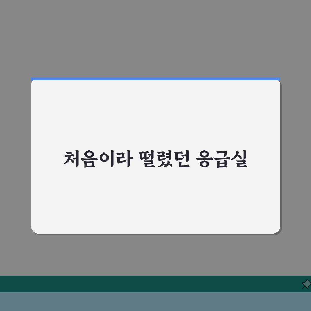 성가롤로병원 응급실 이용안내 | 진료절차, 준비물, 위치도 솔직후기, 직접 해봤어요