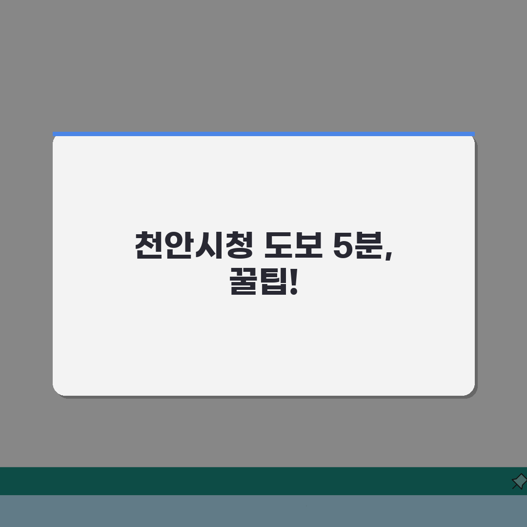 천안생활체육관 오시는길 | 천안시청 도보 5분 경로 직접 해봤어요
